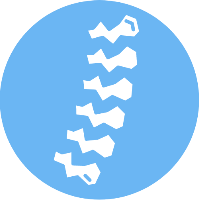 Icona di delle vertebre della colonna vertebrale